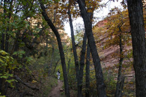 Boynton Canyon Trail