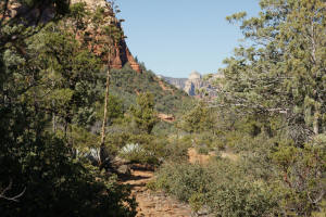 View Top Wooded Portion of Trail