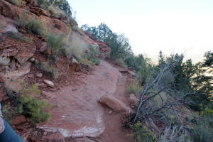 Mid Doe Mountain Trail - 3