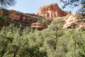 Fay Canyon - Red Cliffs