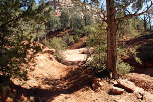 Soldier Trail to the East
