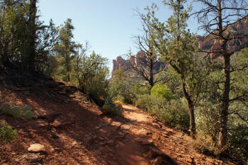 Mid Soldier Pass Trail heading south