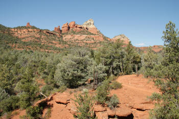 Looking Up the Trail