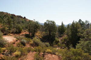 Final Leg of Soldier Pass Trail