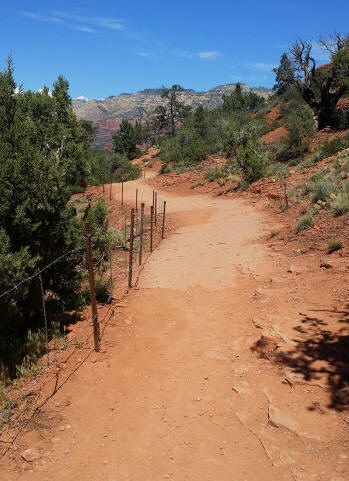 Trail leading to Airport Lookout Summit Trailhead