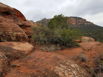 Path to top of Baby Bell Rock