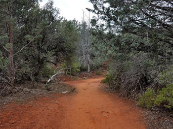 Phone Trail - 1