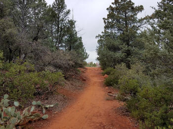 Phone Trail Heads North