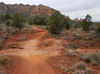 Phone Trail - 2