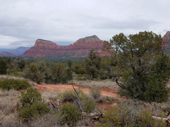View to the North from Phone Trail