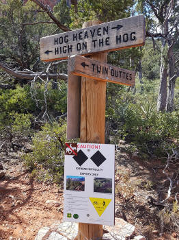High on The Hog Trail Sign