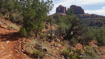 Ridge Trail - Cathedral Rock Picture 2