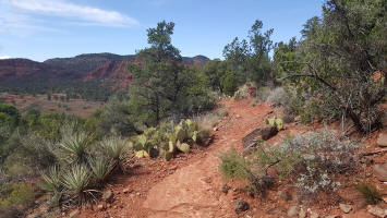 The hike back down Ridge Trail - Picture 2