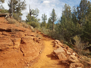 Soldier Pass Trail - 11