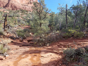 Soldier Pass Trail - Seven Sacred Pools - 17