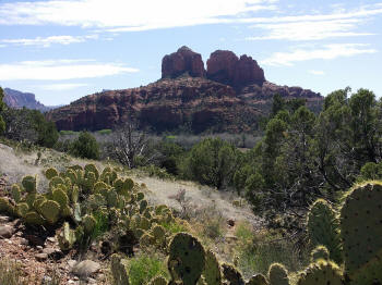 View of Cathedral Rock