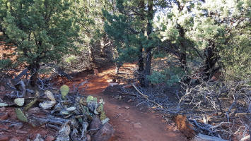 Templeton Trail Approaching Cathedral Rock - Picture 32