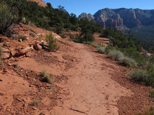 The trail widens and becomes an easy hike.