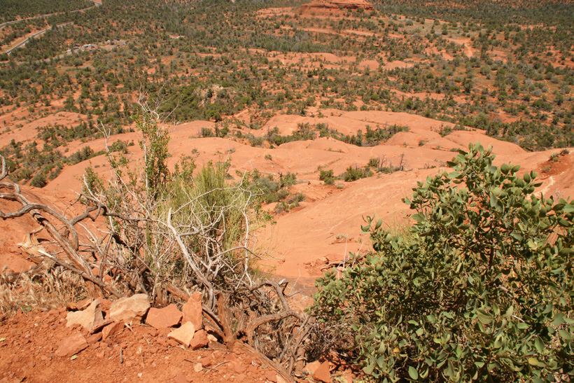 Looking Down the East Side of Bell Rock
