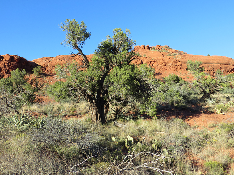 View of the Southern Face of Northern Bell Rock (Baby Bell)