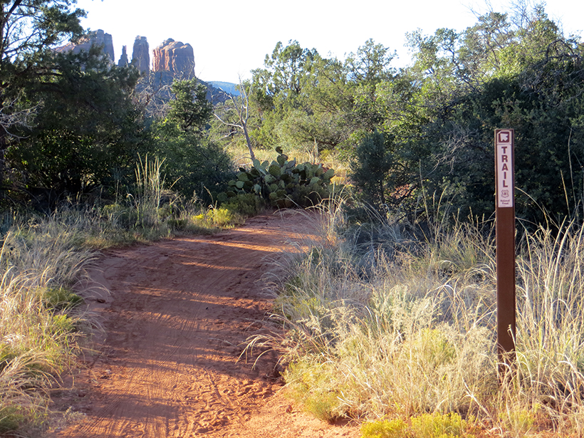 Look back (north) on Bell Rock Pathway.  Notice Cathedral Rock on the Horizon