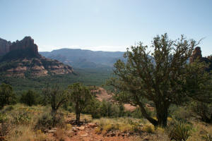 Upper Brins Mesa Trail Looking East