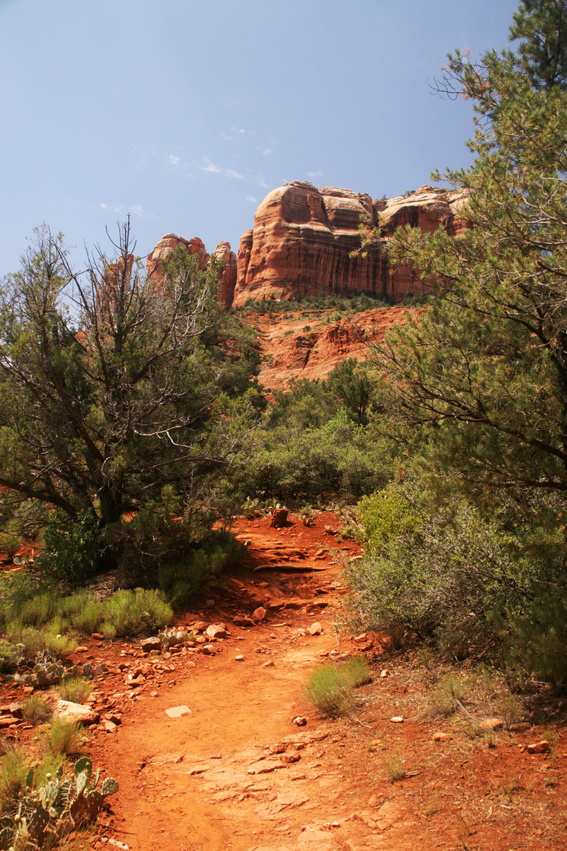 Trail Leading To Cathedral Rock